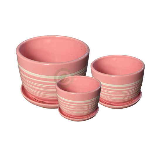 Ceramic pot- combo set 03