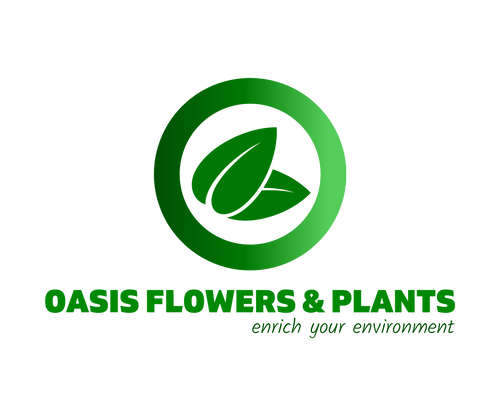 Oasis Flowers & Plants