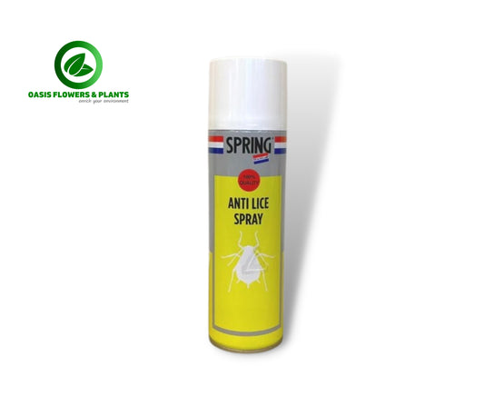 SPRING® ANTI-LICE INSECT SPRAY 300ML