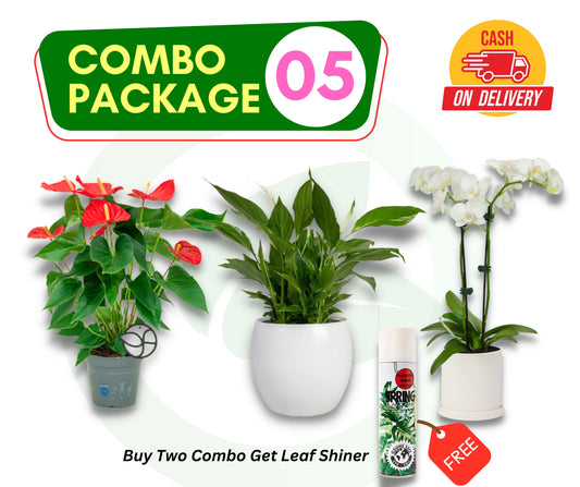 Combo Package 05